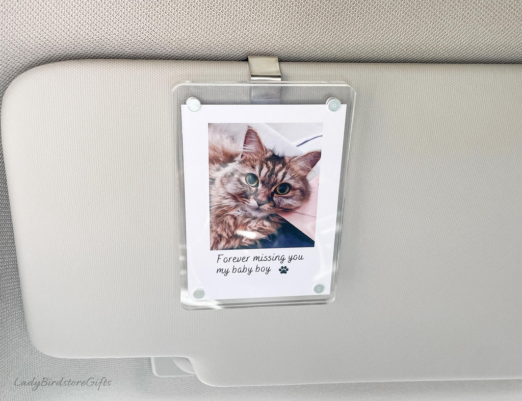 Sleek Acrylic Car Visor Photo Clip