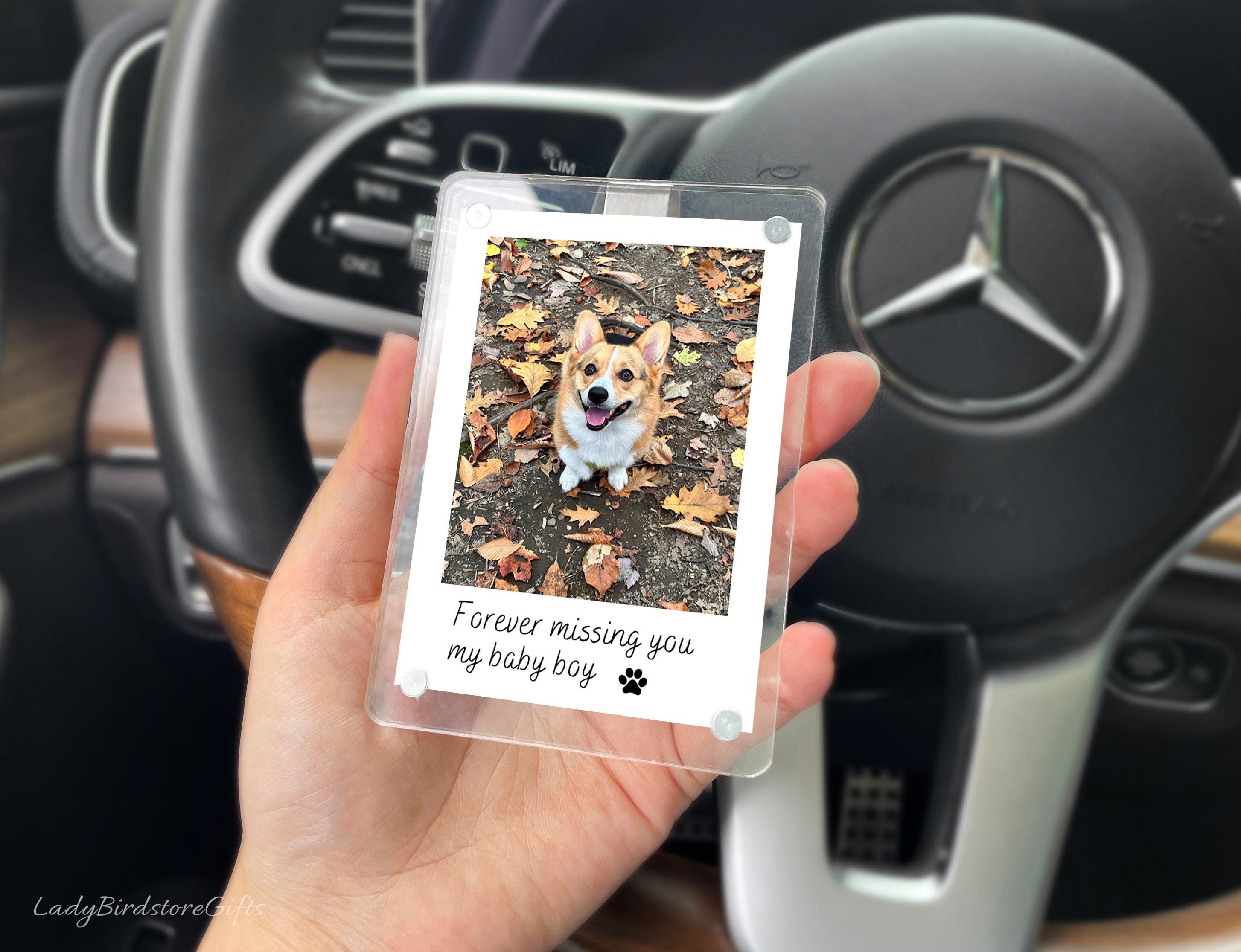 Sleek Acrylic Car Visor Photo Clip