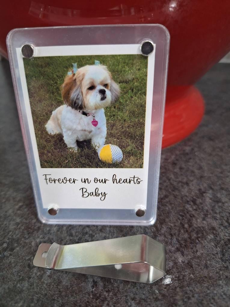 Personalized Photo Car Visor Clip for Dad